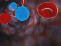 HIV Yaşam Süreci
