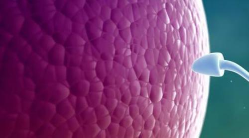 CİNSEL HASTALIKLAR (CYBH)